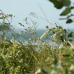 Ferienbauernhof Liesenberg Bauernhauswohnung Landerlebnis Apartment Fehmarn