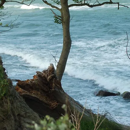 Ferienbauernhof Liesenberg Bauernhauswohnung Landerlebnis Lejlighed *