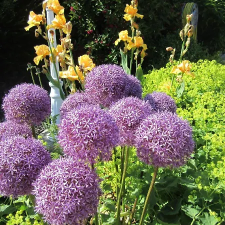 Ferienbauernhof Liesenberg Bauernhauswohnung Landerlebnis Lejlighed *