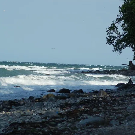 Ferienbauernhof Liesenberg Bauernhauswohnung Landerlebnis Femern