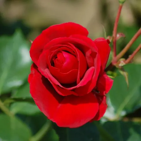 Ferienbauernhof Liesenberg Bauernhauswohnung Landerlebnis Lejlighed *