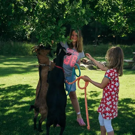 Ferienbauernhof Liesenberg Bauernhauswohnung Landerlebnis
