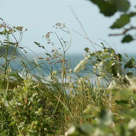 Ferienbauernhof Liesenberg Bauernhauswohnung Landerlebnis Lejlighed Femern