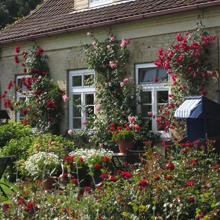 Ferienbauernhof Liesenberg Bauernhauswohnung Landerlebnis Lejlighed *