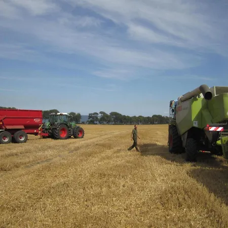 Lejlighed Ferienbauernhof Liesenberg Bauernhauswohnung Landerlebnis *