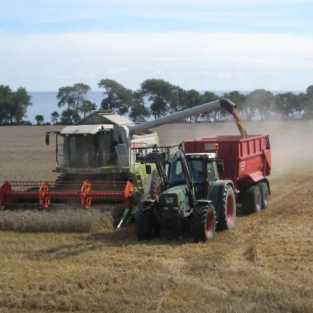 Ferienbauernhof Liesenberg Bauernhauswohnung Landerlebnis *